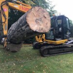 Tree surgery