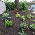 Garden plants